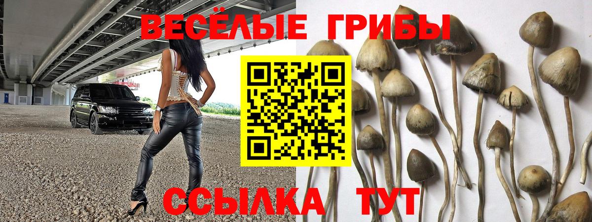 Псилоцибиновые грибы ЛСД  Вход с VPN  Галлюциногенные грибы прущие грибы  Камышин 